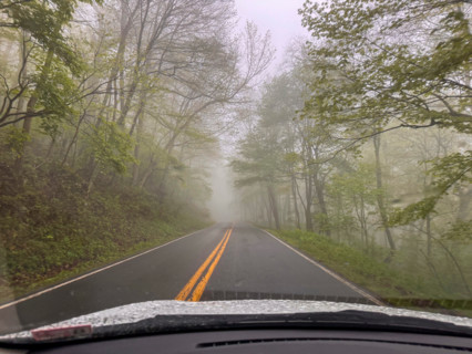 Road in forest seen from car. Blacksburg, Virginia, United States