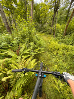 Hands of person riding mountain bike in forest. Blacksburg, Virginia, United States