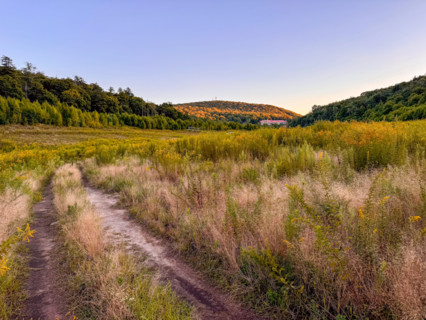 Dry overgrown lake in green valley. Blacksburg, Virginia, United States