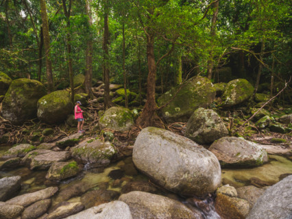 Tourist looking at phone while standing next to Mossman River. Mossman, Queensland, Australia