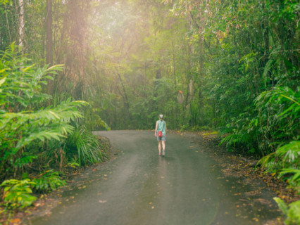 Rear view of woman walking along road in lush tropical forest. Mossman, Queensland, Australia