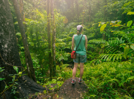 Rear view of woman standing in dense tropical forest. Mossman, Queensland, Australia