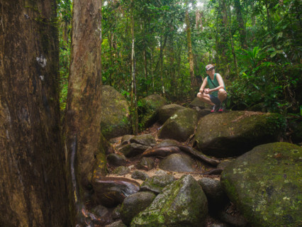 Female hiker rests on rocks in tropical rainforest . Mossman, Queensland, Australia