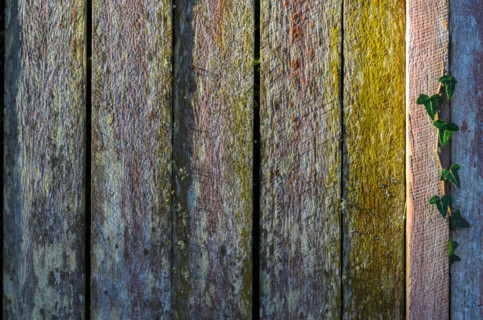 Close-up of old wooden fence. Leura, New South Wales, Australia