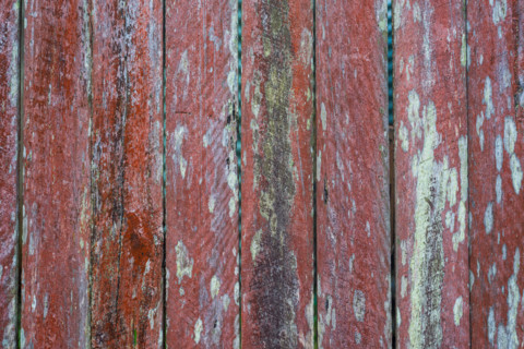 Close-up of old wooden fence covered in lichen. Leura, New South Wales, Australia