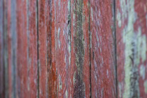 Close-up of old wooden fence covered in lichen. Leura, New South Wales, Australia
