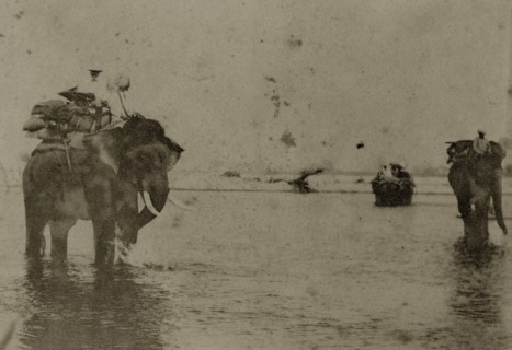 Hunting elephants wet their feet. Two hunting elephants, laden with blankets, cool their feet in a