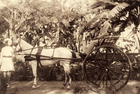 Two-wheeled carriage. A British gentleman in a solaptopi hat sits aboard a two-wheeled carriage