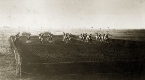Cavalry practice ground. British men from an Indian Army cavalry unit cross each other in an arena