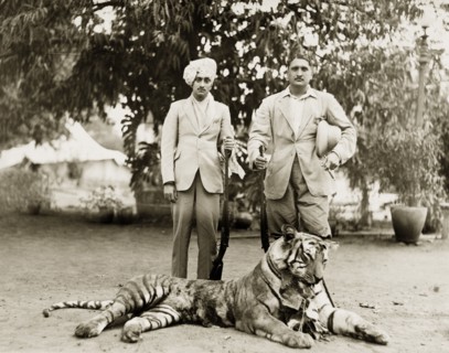 Tiger kill. Two Indian men in Western dress pose proudly over their recent tiger kill, cigar and