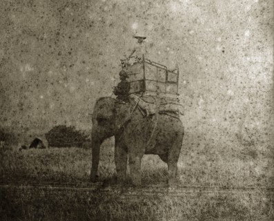 A hunting elephant and its mahout. A British man gazes out from a howdah on the back of hunting
