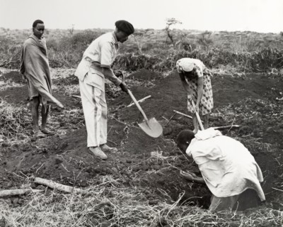 Digging a coffee shamba. A uniformed agricultural instructor, spade in hand, helps three African