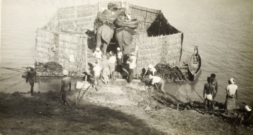 Transporting elephants across a river. Two elephants, used to manoeuvre timber in the teak forests