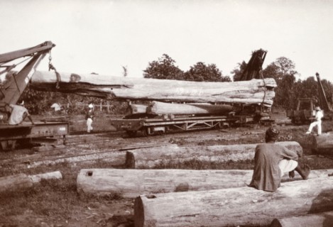 Loading a ten-ton tree trunk. A huge tree trunk, weighing 10 tonnes according to an original