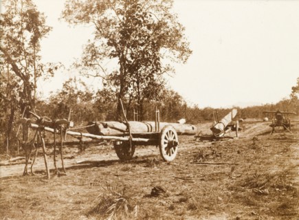 Logging carts, Burma (Myanmar). Three carts, loaded with teak timbers, line a rural road. Burma