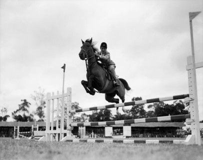 El Wak' jumps a fence. Juliet Colville jumps a fence on a horse called 'El Wak' in the juvenile