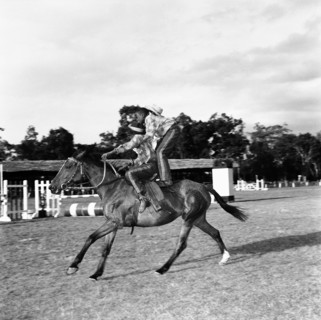 Standing room only. Two boys ride a horse in the Maryland Riding School display at the SJAK show