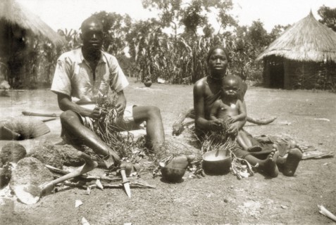 Harvesting peanuts. A Sudanese family sit outside harvesting peanuts from the roots of peanut