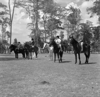 Pony riding competition. A row of children riding ponies line up in a field for the class one