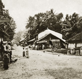 Ceylonian street scene. A wide dirt track flanked by low buildings and palm trees serves as the