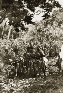 Fijian firewalkers. A group of Fijian men wear traditional dress consisting of tassled skirts,