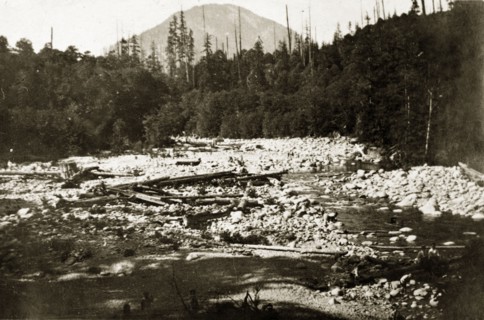 Lynn Valley, Vancouver. Logs litter the riverbed at Lynn Valley. Vancouver, Canada, 21 June-4 July