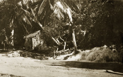 Typical Jamaican hut. A typical Jamaican hut sheltered by palm trees. Jamaica, 26-30 July 1924.