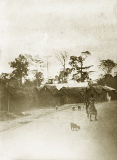 West African street. Postcard view of a west African village street. Western Africa, circa 1920.,