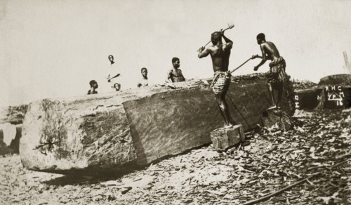 Cutting mahogany, West Africa. A large piece of mahogany timber is cut and prepared for sale by men