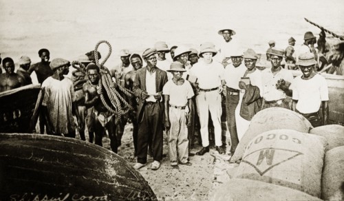 Tamlin and cocoa. Mr Alfred Tamlin (the European man in the centre) stands amongst a crowd of