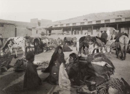 Bedouins take a rest. A group of bedouins take a rest from travelling to feed their animals in an