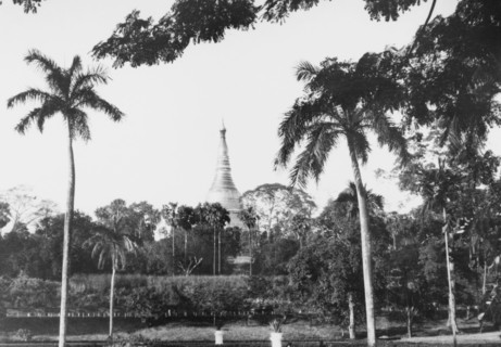 The Shwe Dagon Pagoda. The golden dome of the Shwe Dagon Pagoda rises up behind a formal garden in
