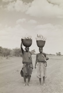 Transporting vegetables. A man and a woman walk along a dusty road balancing baskets full of