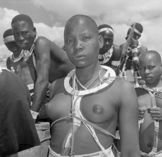 Portrait of a female Wakamba dancer. A female Wakamba dancer dressed in ceremonial costume for