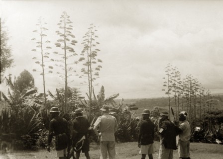 A farmer's Home Guard. Six men, their backs to the camera, look out towards the forest in search of