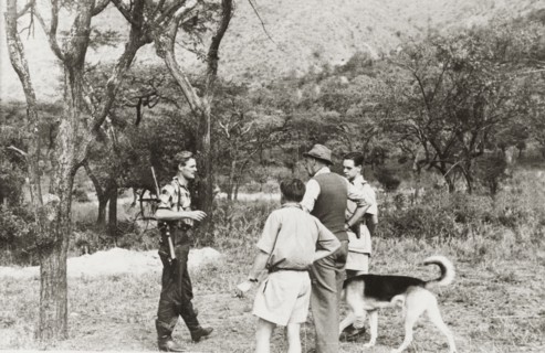 Farmers form a Home Guard patrol. European farmers, armed with rifles and dogs, meet for a Home