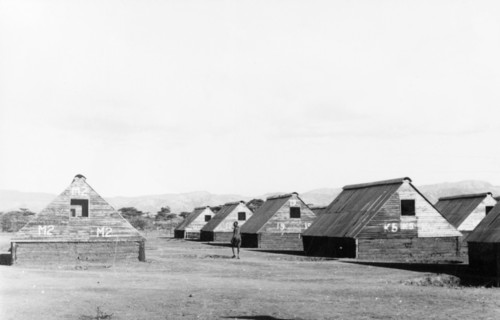 Home Guard living quarters. Numbered prefabricated huts form temporary accommodation for Kikuyu