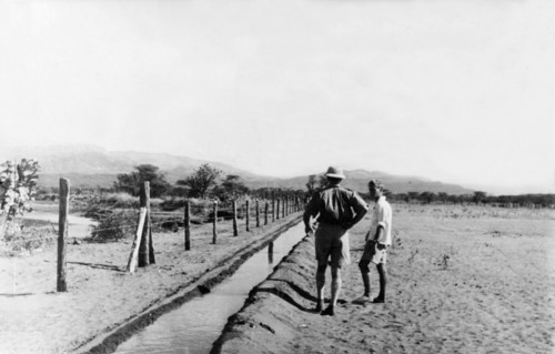 Rehabilitation scheme for Mau Mau detainees. Two Europeans inspect an irrigation channel,