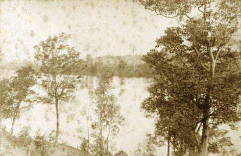 View of the Brisbane river. View through trees of the Brisbane river as it meanders through the