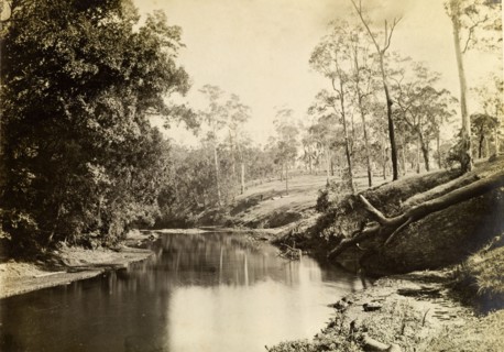 Rafting ground at Moggill creek. A rafting ground at Moggill creek used by loggers to float timber