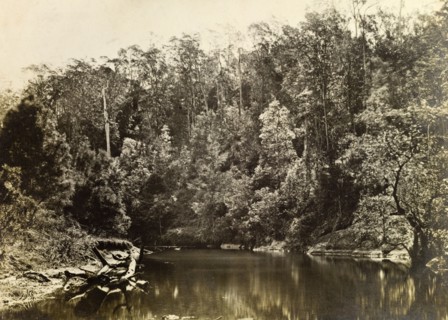 Moggill creek, Australia. A bend in the river at Moggill creek located in the outback surrounding