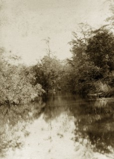 Moggill creek, Australia. A peaceful stretch of river in the outback at Moggill creek. Queensland,