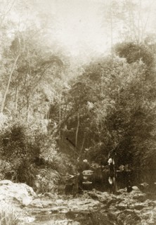 Standing in Moggill creek, Australia. A man stoops, knee-high in water, over a shallow point in the
