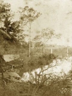 Indooroopilly bridge, Australia. View of the Albert bridge at Indooroopilly spanning the Brisbane