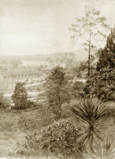View from Wickham Terrace. A sloping garden belonging to a house at Wickham Terrace faces out over