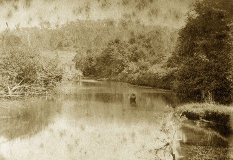 Gold creek, Australia. A lone rock breaks the surface of the still water at Gold creek as it