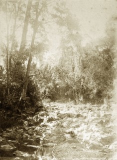 Dry riverbed at Moggill creek. Water trickles down a rocky riverbed in the outback at Moggill creek