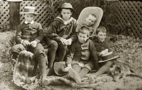 Five boys, Australia. Outdoors portrait of five small boys connected with the Brodribb family in