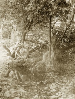 Dry riverbed near Brisbane. A section of dry riverbed in the outback surrounding Brisbane.