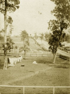 Settlers' plots, Queensland. Washing hangs from a line suspended between trees on a large, fenced